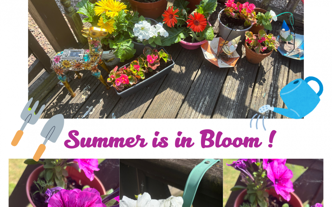 Summer is in Bloom !